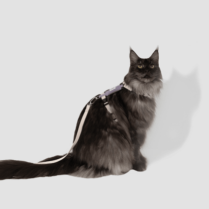 Valley Series Lightweight Cat Harness - ZoePaws
