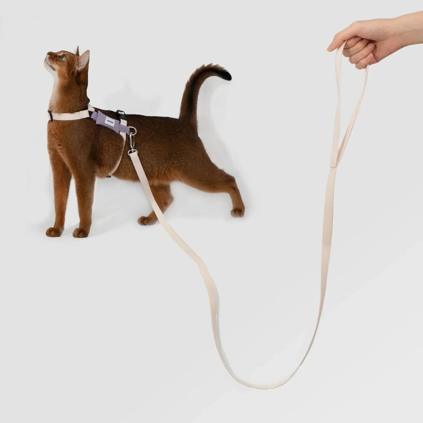 Valley Series Lightweight Cat Harness - ZoePaws