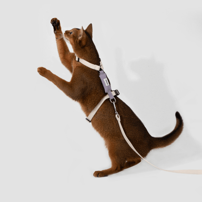 Valley Series Lightweight Cat Harness - ZoePaws