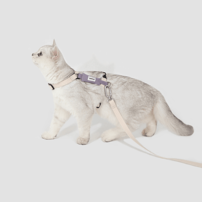 Valley Series Lightweight Cat Harness - ZoePaws