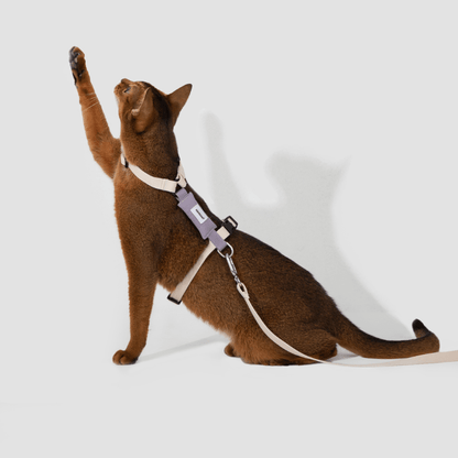 Valley Series Lightweight Cat Harness - ZoePaws