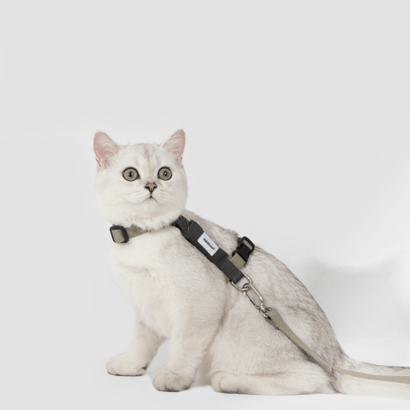 Valley Series Lightweight Cat Harness - ZoePaws