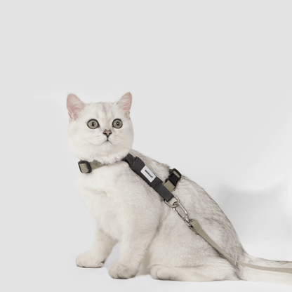 Valley Series Lightweight Cat Harness - ZoePaws
