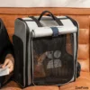 Orange cat inside HiDREAM mesh pet carrier backpack on brown leather couch