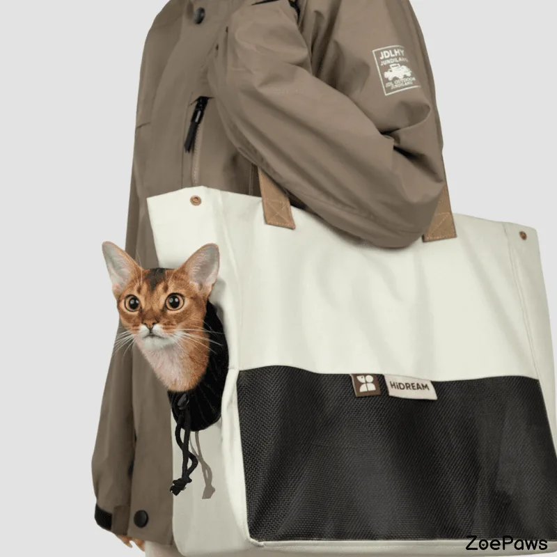 Abyssinian cat peeking out of cream and black HiDREAM pet carrier tote bag