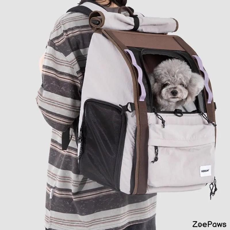 Small gray poodle peeking out from beige and brown pet carrier backpack worn by person in striped shirt