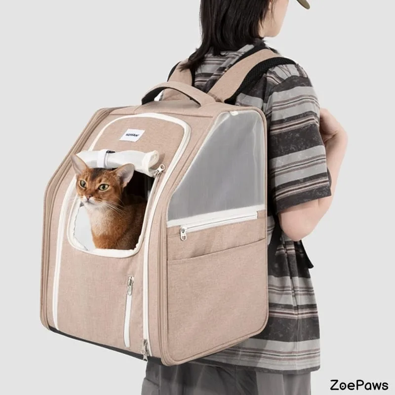 Cat carrier backpack in beige with Abyssinian cat peeking out mesh window worn by person