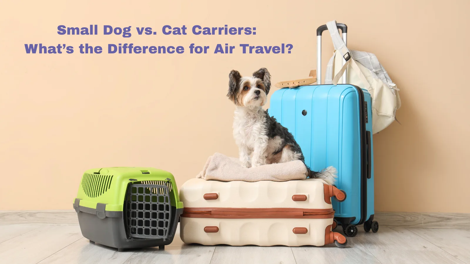 Small dog sitting on stacked luggage next to green pet carrier with text about dog vs cat carriers for air travel